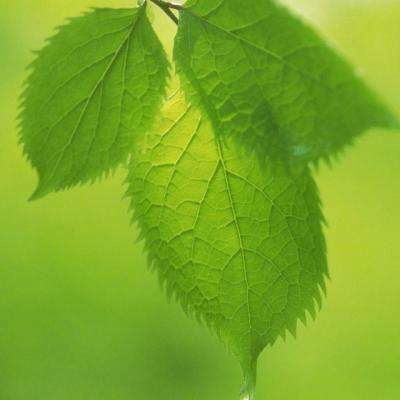 博鱼电竞app下载截图